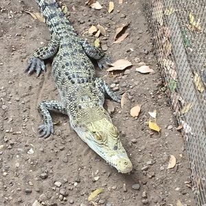 Meet your Posher, Hui min